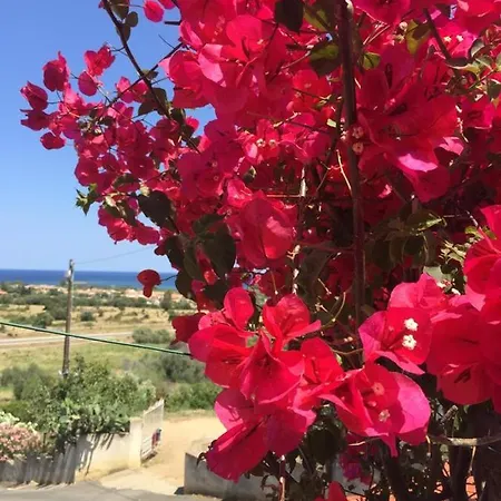 Mareincasa